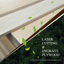 China factory laser cut plywood basswood plywood 915x915x3mm
